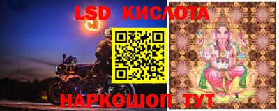 марки lsd Будённовск